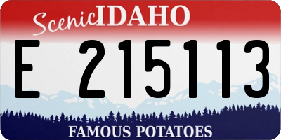ID license plate E215113