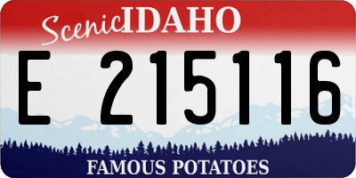 ID license plate E215116