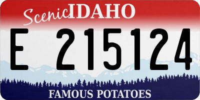 ID license plate E215124