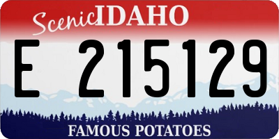 ID license plate E215129