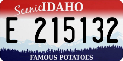 ID license plate E215132