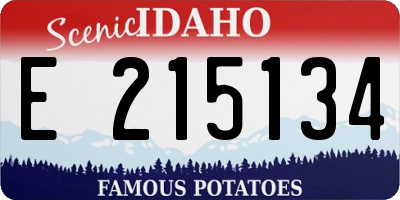 ID license plate E215134