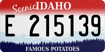 ID license plate E215139