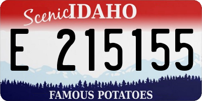 ID license plate E215155