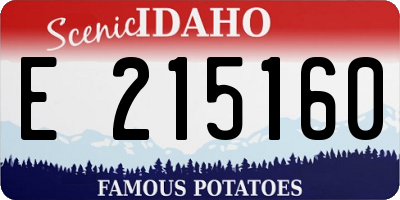 ID license plate E215160
