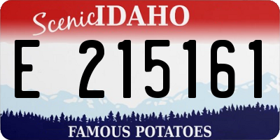ID license plate E215161