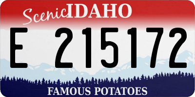 ID license plate E215172