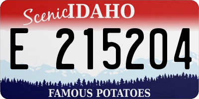ID license plate E215204