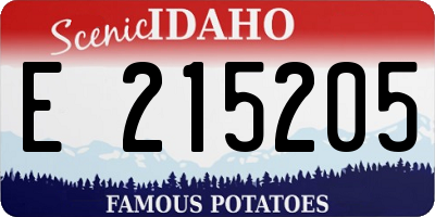 ID license plate E215205