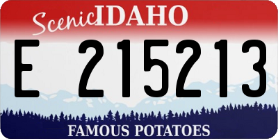ID license plate E215213