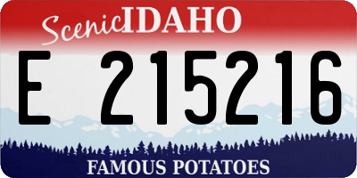 ID license plate E215216