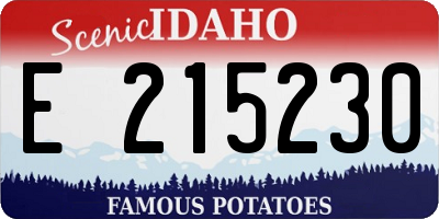 ID license plate E215230