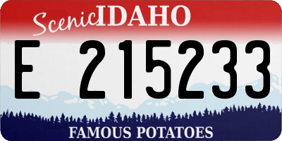 ID license plate E215233