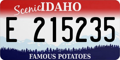 ID license plate E215235