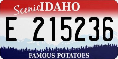 ID license plate E215236