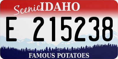ID license plate E215238