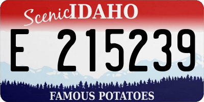 ID license plate E215239