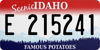 ID license plate E215241