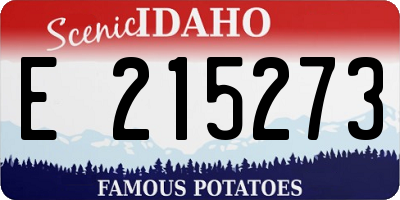 ID license plate E215273