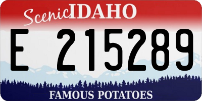 ID license plate E215289