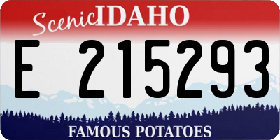 ID license plate E215293