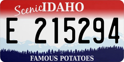 ID license plate E215294