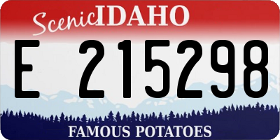 ID license plate E215298