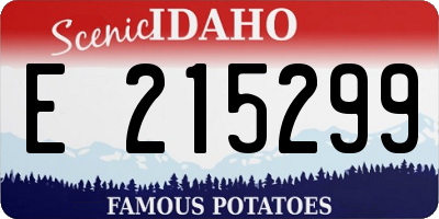 ID license plate E215299