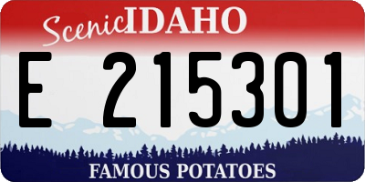 ID license plate E215301