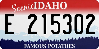 ID license plate E215302