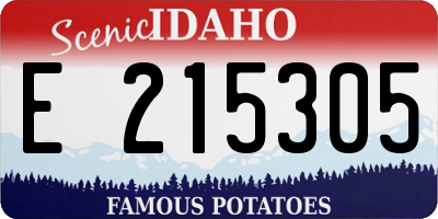 ID license plate E215305