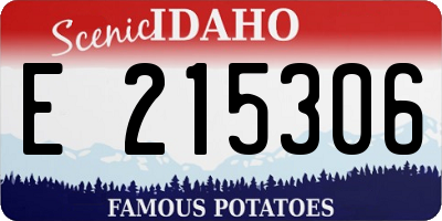 ID license plate E215306