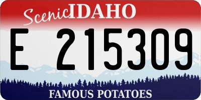 ID license plate E215309