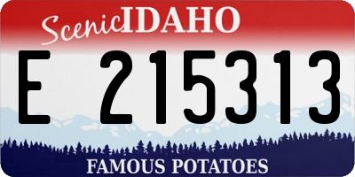 ID license plate E215313