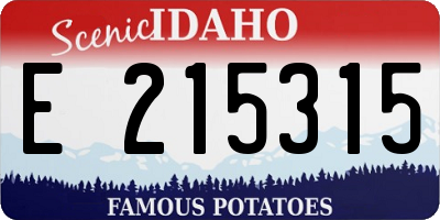 ID license plate E215315