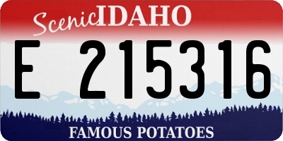 ID license plate E215316