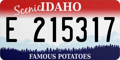 ID license plate E215317