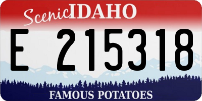 ID license plate E215318