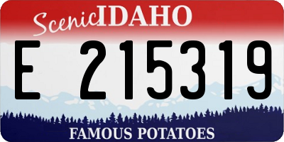 ID license plate E215319