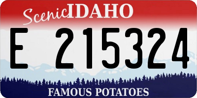 ID license plate E215324