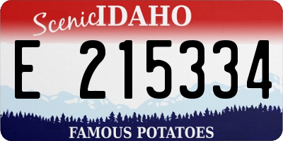 ID license plate E215334