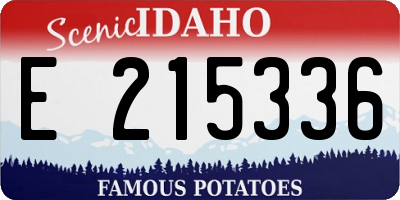 ID license plate E215336