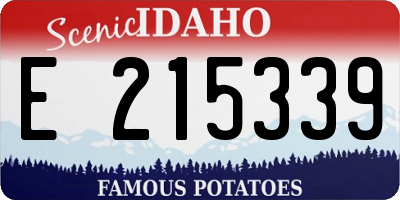 ID license plate E215339