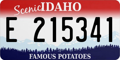 ID license plate E215341