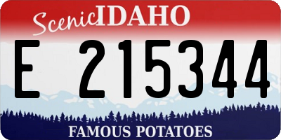 ID license plate E215344