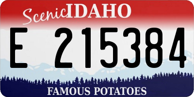 ID license plate E215384