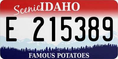 ID license plate E215389
