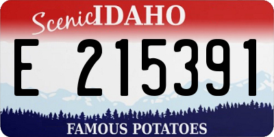ID license plate E215391