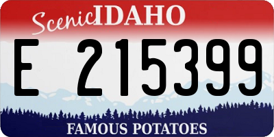 ID license plate E215399