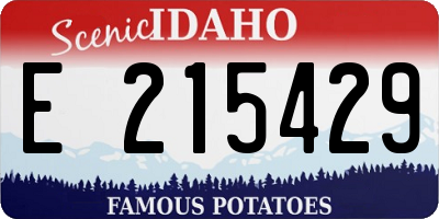 ID license plate E215429